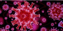 Read more about - মারণ করোনা ভাইরাসে চীনের কোন ব্যক্তি সর্বপ্রথম আক্রান্ত হন ?