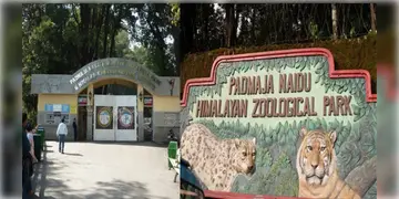 Read more about - India's First Frozen Zoo | বাংলায় তৈরী হচ্ছে দেশের প্রথম ‘বরফের চিড়িয়াখানা’! শীঘ্রই চমক দেবে শৈলশহর দার্জিলিং!