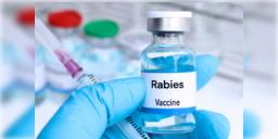 Read more about - Rabies Injection | বৃদ্ধি হলো রেবিসের সংক্রমণ রুখতে ব্যবহৃত অত্যাবশ্যক ইনজেকশনের দাম!