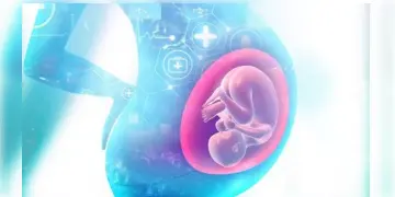 Read more about - Abortion: গর্ভপাত মানেই কি জীবনের ঝুঁকি?