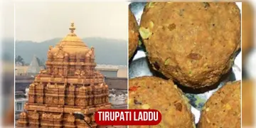 Read more about - Tirupati Laddu । তিরুপতি মন্দিরের প্রসাদী লাড্ডুতে পশুর চর্বি মেশানো ইস্যু নিয়ে সুপ্রিম কোর্টে দায়ের জনস্বার্থ মামলা