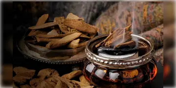 Read more about - Agarwood | সোনা-রুপোর থেকেও মূল্যবান! এই কাঠ এতটাই দামি যে ধনী ব্যক্তিরাও কেনার আগে দুবার ভাবেন!