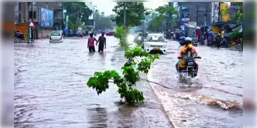 Read more about - Cyclone Dana Effect | 'দানা'র জেরে কলকাতার একাধিক এলাকায় জমেছে জল, সবচেয়ে বেশি বৃষ্টি হয়েছে যোধপুরে