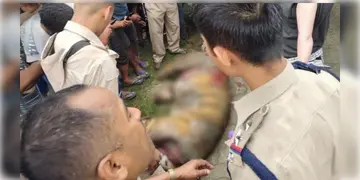 Read more about - Royal Bengal Tiger | অসমের পাথারি থেকে উদ্ধার রয়্যাল বেঙ্গলের পা কাটা, চামড়া উপড়ানো ক্ষতবিক্ষত দেহ!