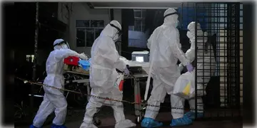 Read more about - Nipah Virus | নিপা ভাইরাসের জেরে কেরলে মৃত্যু ২৪ বছর বয়সী এক পড়ুয়ার, জারি সতর্কতা