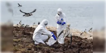 Read more about - Bird Flu H5N1 | বিশ্বজুড়ে কোভিডের চেয়েও ১০০ গুণ ভয়ংকর মহামারীর আশঙ্কা! ক্রমশ ভয়াবহ আকার ধারণ করছে বার্ড ফ্লুর H5N1 প্রজাতির স্ট্রেইন!
