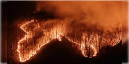 Read more about - South Korea Wildfire | গত শুক্রবার থেকে জ্বলছে বিস্তৃণ এলাকা! দাবানলে মৃতের সংখ্যা বেড়ে ২৬! পুড়ে গিয়েছে ৩৬,০১০ হেক্টর জমি!