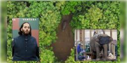 Read more about - Anant Ambani’s Vantara | আহত, নির্যাতিত ও বিপন্ন প্রাণীদের উদ্ধার করে যত্ন নেবে রিলায়েন্স! ৩,০০০ একর জায়গা জুড়ে তৈরী অনন্ত আম্বানির 'ভান্তারা'!