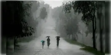 Read more about - West Bengal Weather | শুক্রবার থেকে বদল দক্ষিণবঙ্গের আবহাওয়া! সোমবার থেকে বাড়বে বৃষ্টির পরিমাণ!