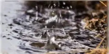 Read more about - রাজ্যে প্রবল বৃষ্টির সম্ভবনা রয়েছে আগামী পাঁচদিন, কলকাতার আবহাওয়া কিরূপ জানাল IMD