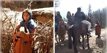 Read more about - Pahalgam Attack | জঙ্গি হামলায় কারোর ভেঙে গিয়েছে হাত, কারোর কপাল ফেটে ঝরছে রক্ত! সেই সময় ত্রাতা হয়ে উঠলো ১৬ বছরের ‘র্যাবিট গার্ল’!