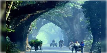 Read more about - Jessore Road । বর্ষবরণের মুখেই ভোগান্তির আশঙ্কা, যশোর রোড বন্ধ থাকবে টানা ২ দিন