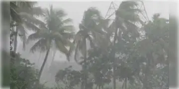 Read more about - আগামী তিন দিনে রাজ্যে কমবে বৃষ্টির প্রকোপ, ভারী বৃষ্টির কোনো পূর্বাভাস নেই