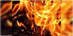 Read more about - রাজকোট কোভিড হাসপাতালের অগ্নিকাণ্ডে নিহত ৬ জন!