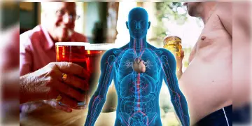Read more about - Liver Health | “আমলকির গুণে যকৃত” সকালে খালি পেটে কী করলে লিভার সুস্থ থাকে?