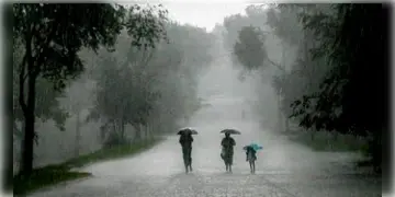 Read more about - Weather | বৃষ্টির পরিমাণ কমবে দক্ষিণবঙ্গে! কমলা সতর্কতা উত্তরবঙ্গের অধিকাংশে! বদ্রীনাথ যাত্রার রাস্তায় ধস!