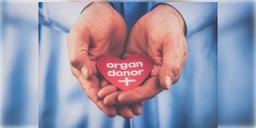 Read more about - গুজরাতের মাত্র আড়াই বছরের শিশুর অকালমৃততে নতুন প্রাণ পেল পাঁচ জন শিশু।