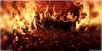 Read more about - EM Bypass Fire | বাইপাস সংলগ্ন এলাকায় অগ্নিকান্ড! পুড়ে ছাই একাধিক গাড়ি! ঘটনাস্থলে দমকলের ২টি ইঞ্জিন!