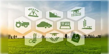 Read more about - AI | কৃষিক্ষেত্রে উন্নত পরিষেবা দেবে AI, কলকাতা ও লন্ডন ভিত্তিক বেসরকারি সংস্থা আনবে কৃষি প্রযুক্তিতে যুগান্তকারী পরিবর্তন