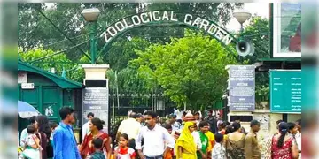 Read more about - Alipore Zoo | চিড়িয়াখানায় জন্তু উধাওয়ের ঘটনায় শুরু তদন্ত, তিন সদস্যের টিম পাঠালো সেন্ট্রাল জু অথরিটি