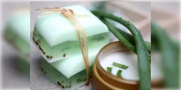 Read more about - Aloe Vera Soap | মুখের সঙ্গে শরীরের ত্বককেও করে তুলুন উজ্জ্বল, দাগহীন! বাড়িতে বানান অ্যালোভেরা সাবান!