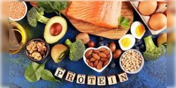 Read more about - Protein for Breakfast | শরীরে প্রোটিনের মাত্রা ঠিক রাখতে ব্রেকফাস্টে অবশ্যই খেতে হবে এই খাবারগুলি!
